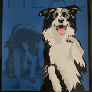 The Arrow Fund Targeting Animal Cruelty Poster