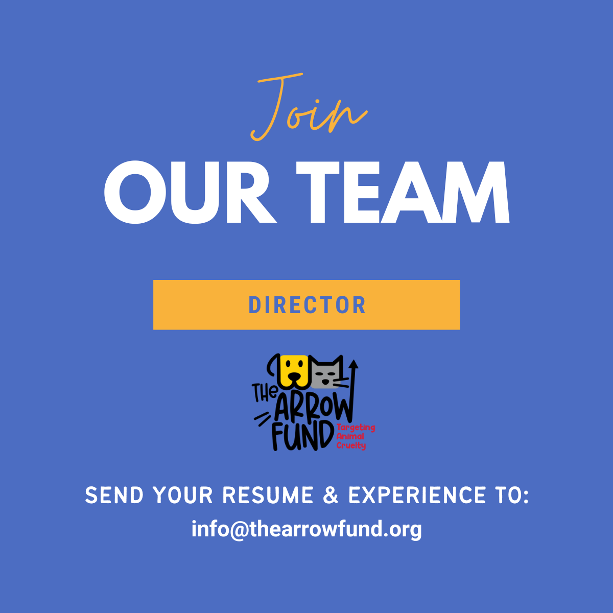 director role